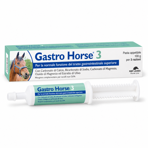 Gastro Horse 3 - Favorisce la normale funzione della mucosa gastrica