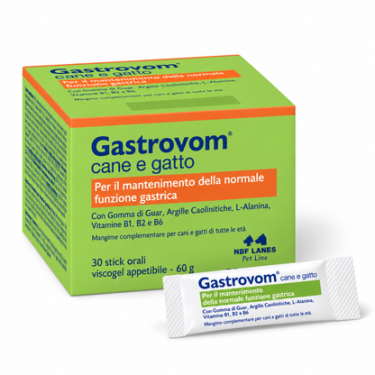 Gastrovom Gel Stick - Per il mantenimento della normale funzione gastrica