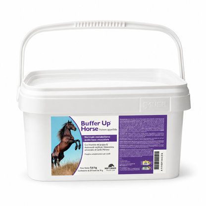 Buffer up - Per il normale metabolismo acido-base muscolare