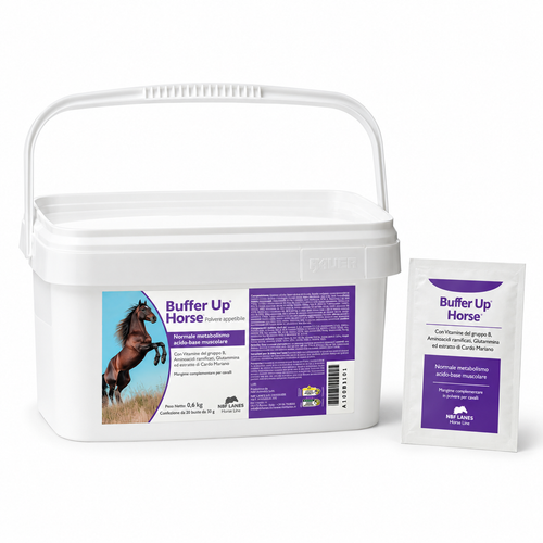 Buffer up - Per il normale metabolismo acido-base muscolare