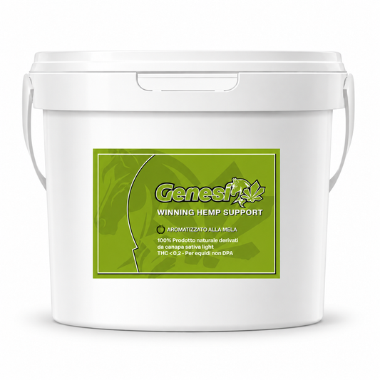 Winning Hemp Support - Aroma Mela